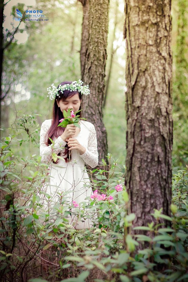 1421187 565424630282490 8642113167434296324 o 1